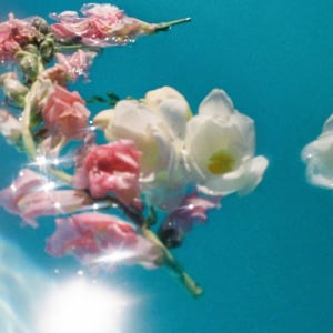 Fresh blooms and warm spring days