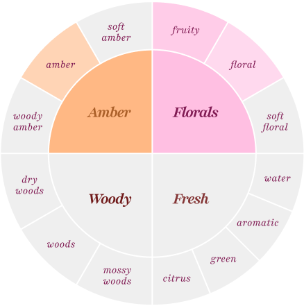 amber (soft amber), florals (fruity, floral)