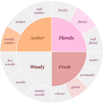 amber (woody amber), florals (floral), fresh (green)