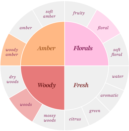 amber (woody amber), florals (floral), woody (woods)