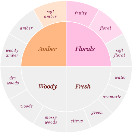 amber (soft amber), florals (fruity, floral)