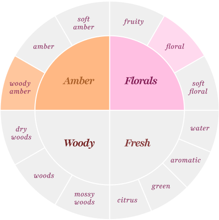 amber (woody amber), florals (floral)